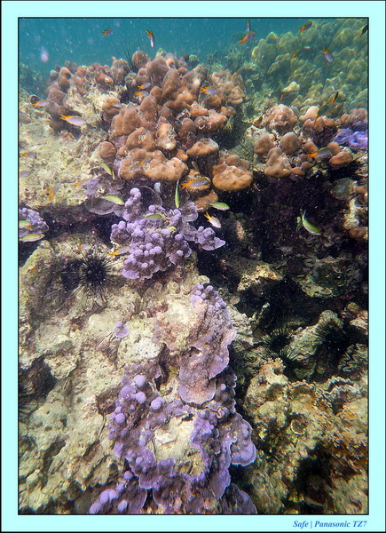 2012 - 03 - Koh Kradan 15